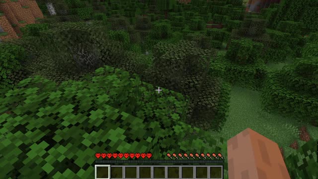 Minecraft 1.17.1_Shorts Modded 2nd time_Outting_1