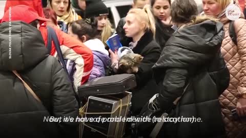 Facebook groups help Ukraine refugees get to safety _ USA TODAY