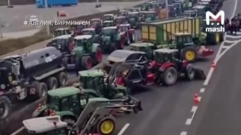 Farmers across Europe have had enough of the elites