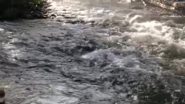 Mountain river in Russia