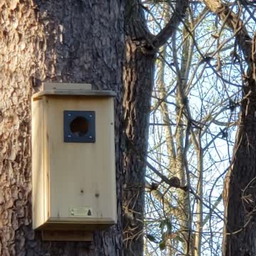 Philbert (aka Filbert the Nut) takes over the Flicker House