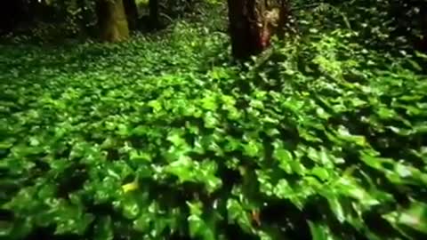 Time with God - November 25