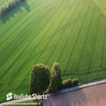 Calmness with nature #shorts #rain #shorts #rain #meditation