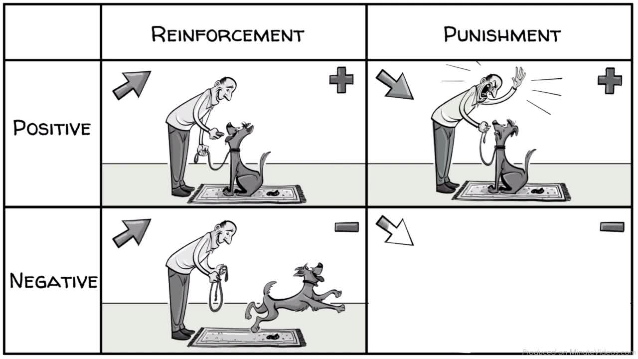 Skinner’s Operant Conditioning Rewards & Punishments