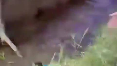 Funny Clips2021