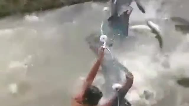 Vai um peixinho ai