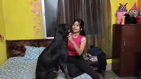 Black- Pet- Dog & Cute- Girl