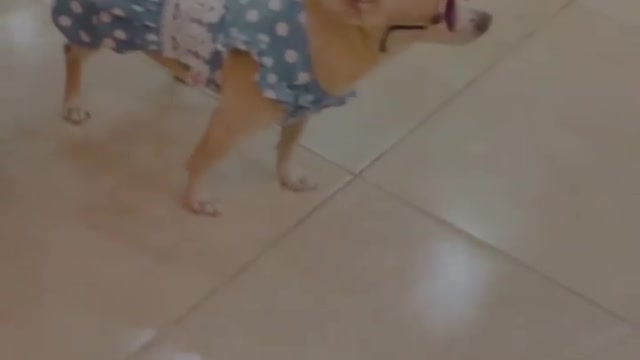 Hi I am Pink from Panama