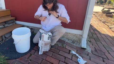 Mirror|Nathan Reynolds|Salty Snacks Wild Medicines and Grain Galore