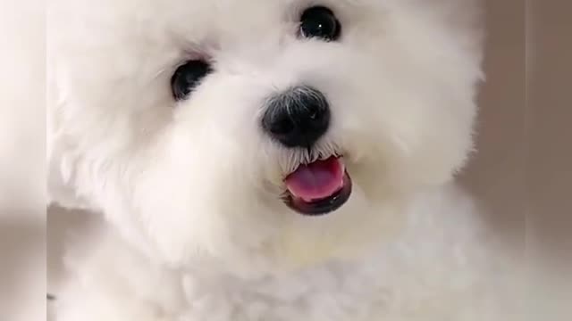 😍😍😍😍😍💖💖💖💖💖💖