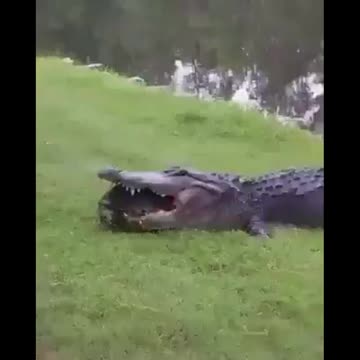 Nature is O.G.T. 02/07/24