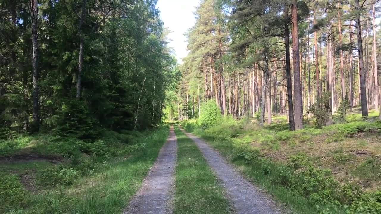 Nature in Sweden