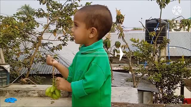 Dust Babu eating grapes and his misty misty talk