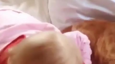 cats and children have fun
