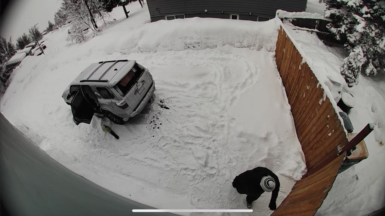 Snowblower Shatters Rear Windshield