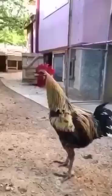 Sarah Snyder After 24 Years Of Trying To Wake People Up