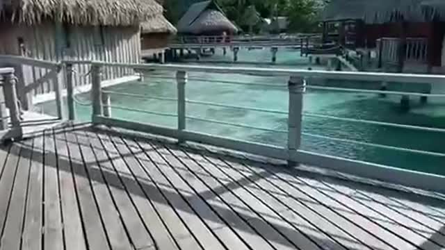 Beach cabin paradise
