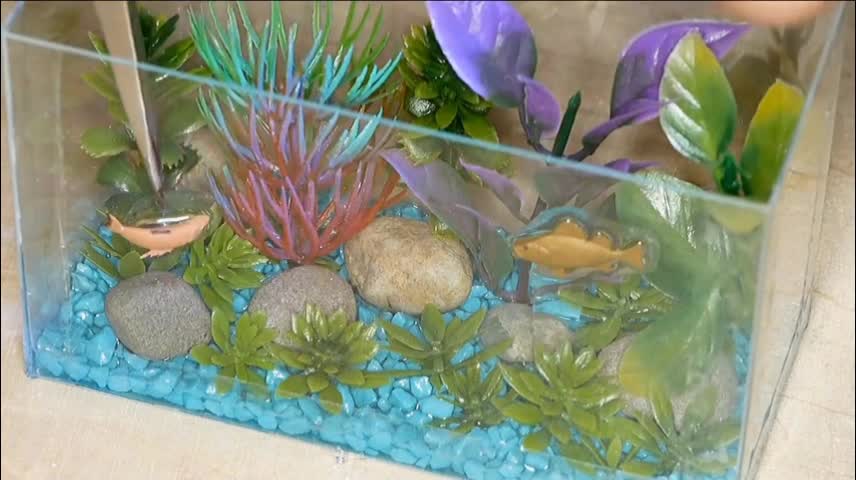 Make a 'never run out of water' aquarium