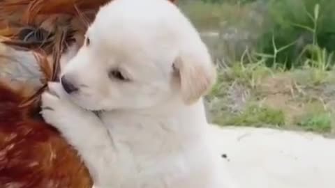 Face your enemy, turn your back to your friend.