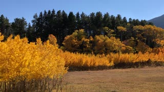 Fall Near Rye, CO 2020