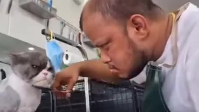 Both of them tickle their faces