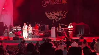 The Wailers ~ Three Little Birds (excerpt)