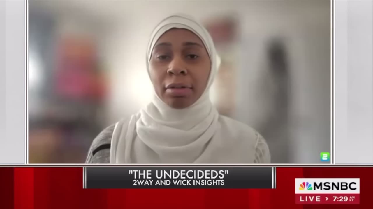 A group of undecided registered voters voice their opinions on MSNBC ruh roh
