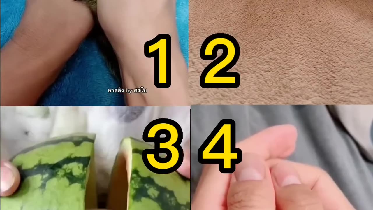 Pick Your Best? 😍 Tiktok Compilation 💘