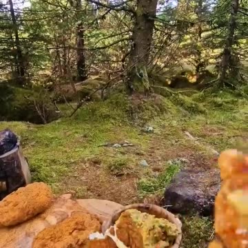 These Nuggets are 🔥🔥 #shorts #menwiththepot #asmr #cooking #food #relax #outdoors #
