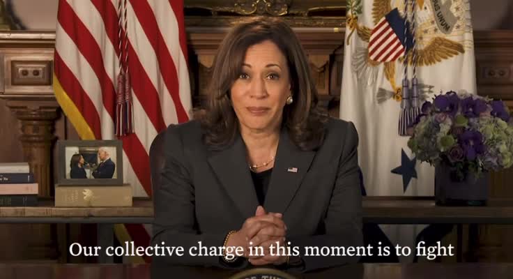 Kamala Activates Leftist Street Mobs: "Our Collective Charge in this Moment Is to Fight"