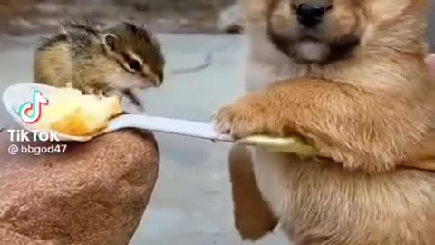 S U B S C R I B E F O R M O R E