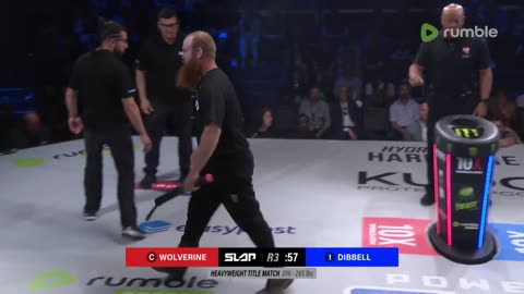 WOLVERINE vs DIBBELL | Power Slap 2 - Heavyweight Title Match