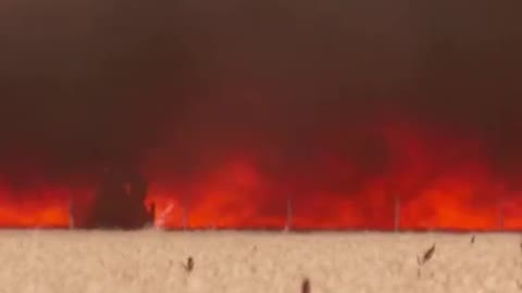 High-temperature wildfires rage in Spain, farmers rush to harvest wheat