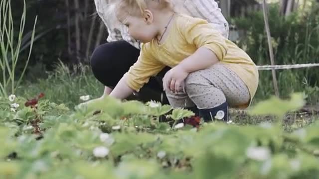 The video of child playing hide and seek Hd