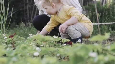 The video of child playing hide and seek Hd