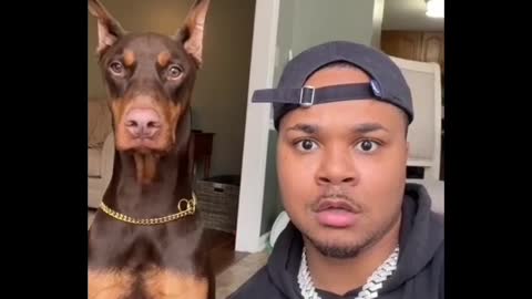 Most funny moments for dog 🐶 reaction 😂🤣😂