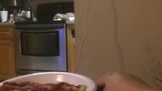 Black cat tries to s teal pizza