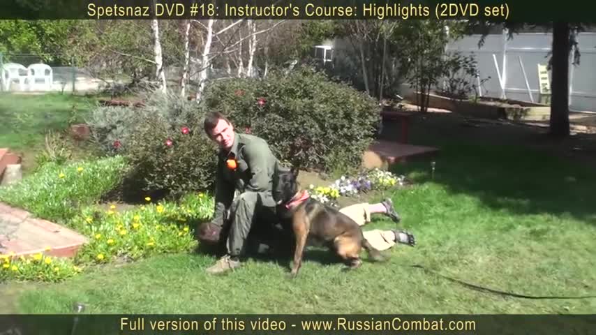 Defending Yourself From A Dog Attack, Self defense against dog attack.How to defend against a dog !!