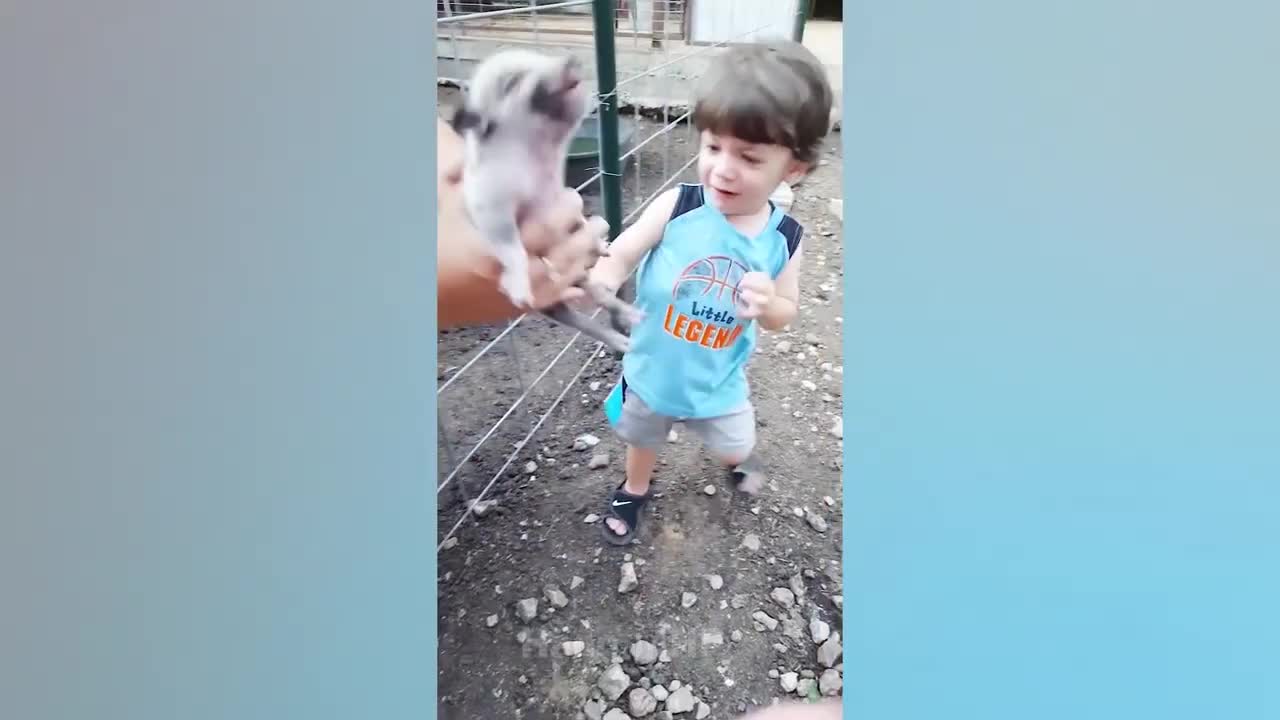 Funniest Babies and Animals.Funny Baby Videos