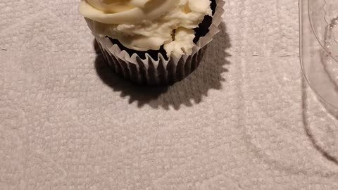 Eating Cupcake From Bartz Bakery, Dbn, MI, 12/8/23 .