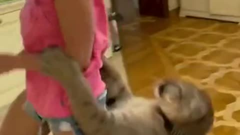 🙏❤🎉🎉🎉🎊🎊🎊️SWEET AND FUNNY PETS SHOTS 🙏❤️❤️🎉🎉🎉🎊🎊🎊