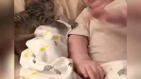 Funny Cats ✪ Cute and Baby Cats Videos Compilation