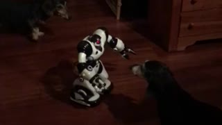 Attacking Robot 1