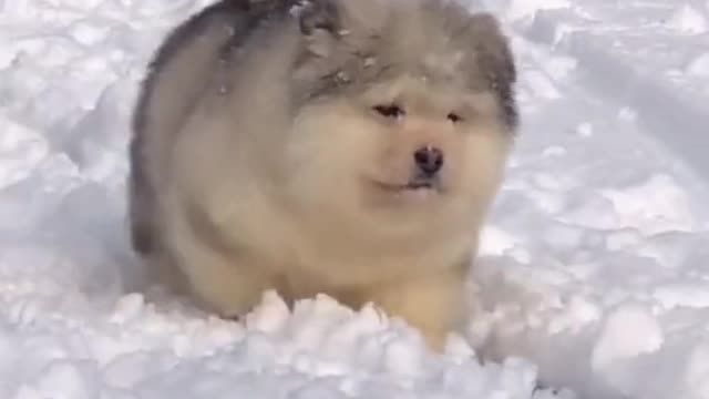 Do You Want to Build a Snowman