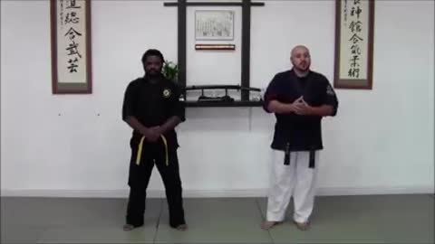 Aiki Jitsu