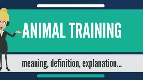 animal trainnig