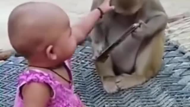 Fanny monkey and mobile baby