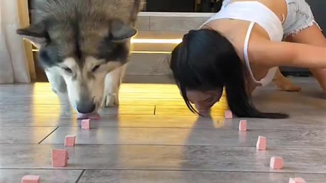 THE BATTLE OF THE DOG AND THE MISTRESS