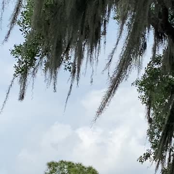 F-22 Raptor Flyby Sun and Fun Airshow