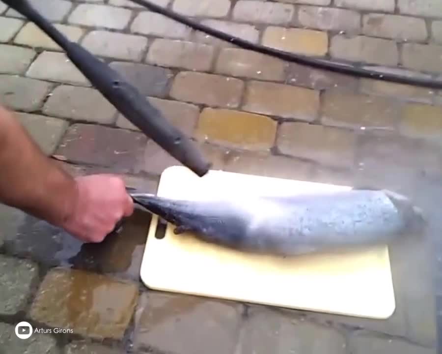 How to clean fish remove scales in seconds - pressure washer